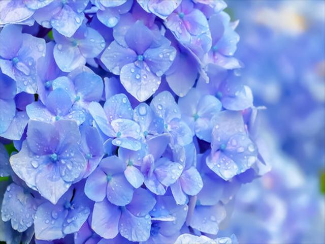 梅雨/準備の大切さイメージ